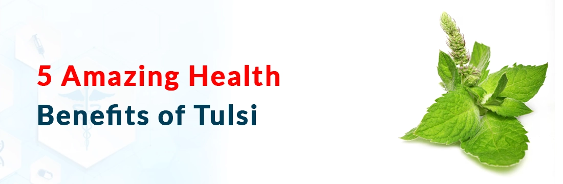  5 Amazing Health Benefits of Tulsi